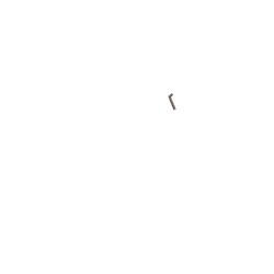 Potence traditionnelle droite en inox.