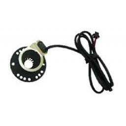 Disque aimanté biporteur électrique Babboe City version 2.0/E-Babboe Curve