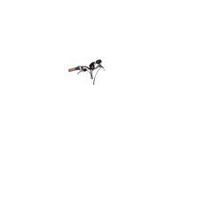 Poignées cuir Brooks pré-rodé (une longue, une courte)