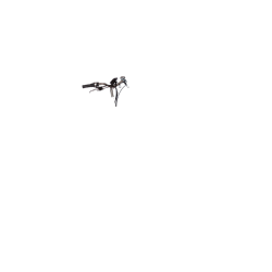 Poignées Bakfiets Classic