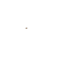 Poignées cuir Brooks miel (une longue, une courte)