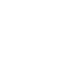 Pneumatiques standard (Kenda)