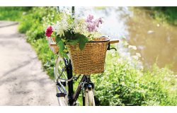 Panier de vélo avant amovible en rotin Basil Breme