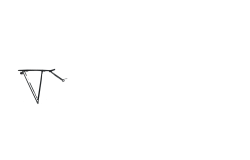 Porte-bagage arrière pour triporteur NIHOLA