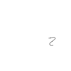 Porte sacoche avant lowrider Duo noir 15 Kg