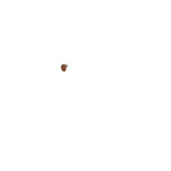 Sacoche de selle Brooks Challenge taille L,miel