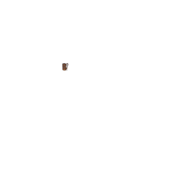 Sacoche de selle Brooks D-Shaped, pré-rodée