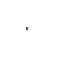 Sacoche de selle Brooks D-Shaped, pré-rodée