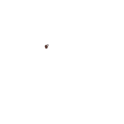 Sacoche de selle Brooks Challenge pour les outils, marron