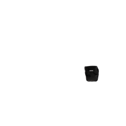 Deux sacoches avant Ortlieb Front Roller City,noir