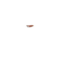 Selle Brooks B17 miel,cyclotourisme