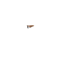 Selle Brooks Flyer pré-rodée