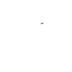 Poignées cuir Brooks noir (une longue, une courte)