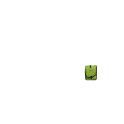 Deux sacoches avant Ortlieb Roller Plus,vert