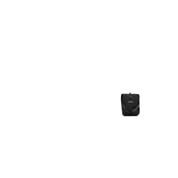 Deux sacoches avant Ortlieb Roller Plus,anthracite