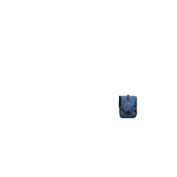 Deux sacoches avant Ortlieb Roller Plus,bleu