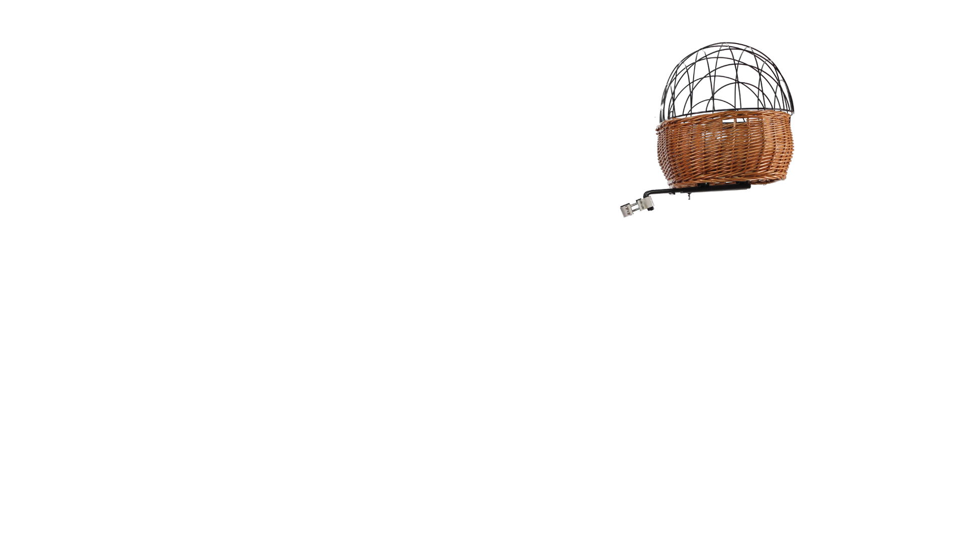 panier-chien-velo-avant-pluto