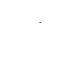 Poignées cuir Brooks marron (une longue, une courte)