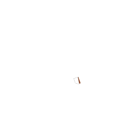 Bavette en cuir Brooks pour garde-boue de vélo,miel