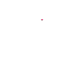 Sonnette ding dong pied de poule rose