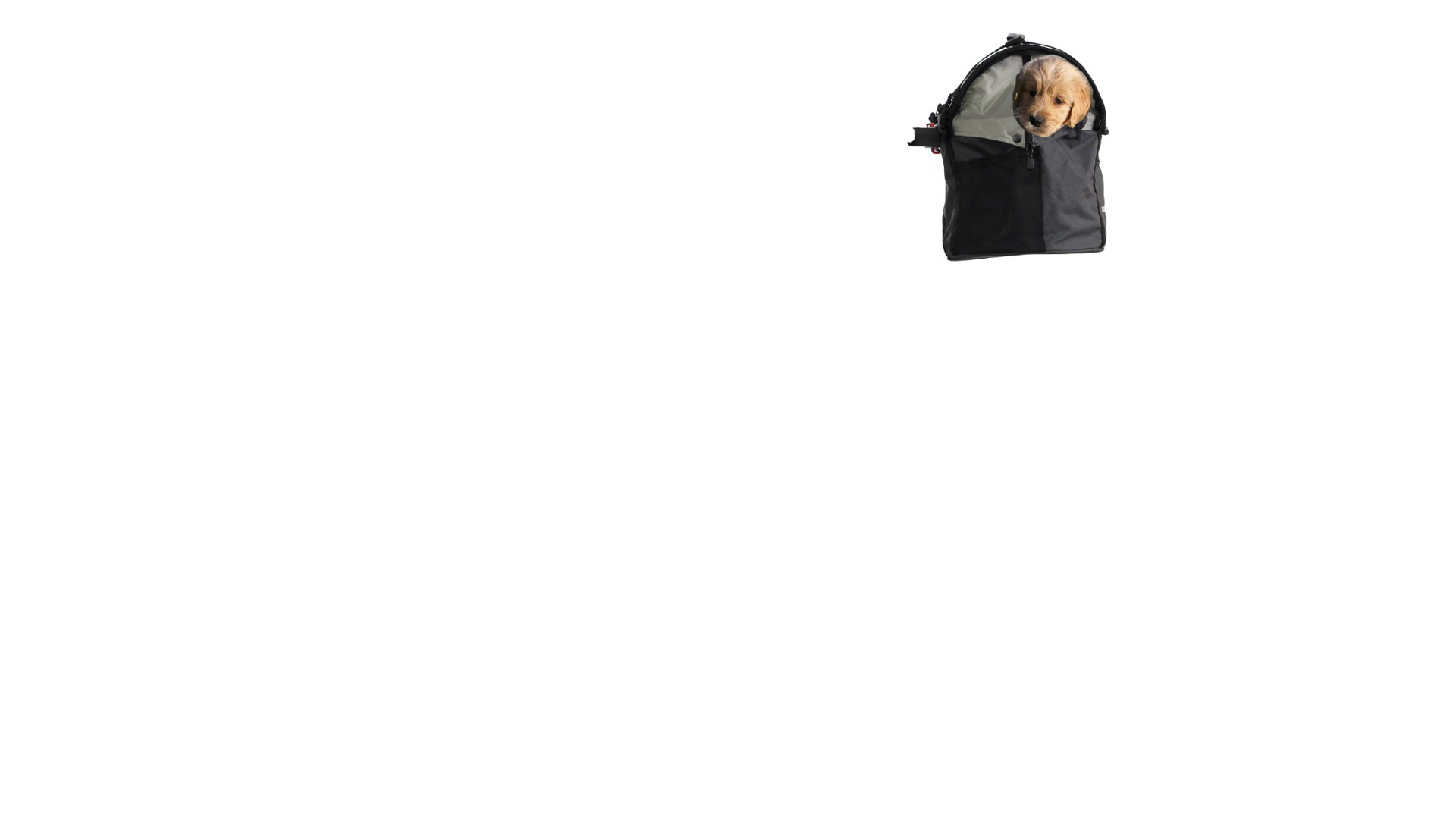 Panier pour transporte son chien a velo ou dans le train