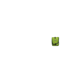 Deux sacoches avant Ortlieb Roller Plus,vert