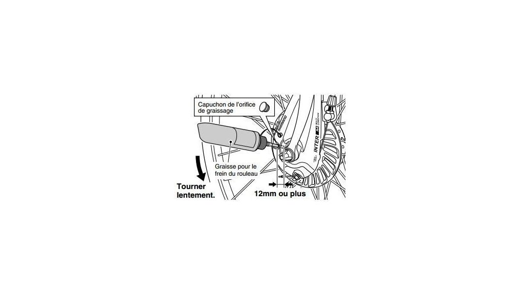 Graisse pour frein roller Shimano (100 g)
