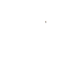 Sonnette ping finition laiton