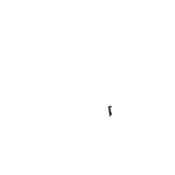 bavette velo hollandais