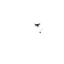 Selle enfant avant (vélo avec porte-bagage avant)