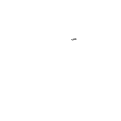 Poignées cuir Brooks noir (une longue, une courte)