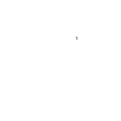 Sonnette ping finition laiton