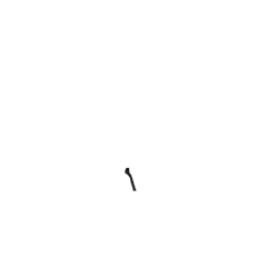 Béquille renforcée noire.