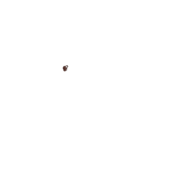 Sacoche de selle Brooks Challenge pour les outils, marron