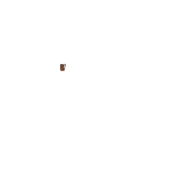 Sacoche de selle Brooks D-Shaped, pré-rodée