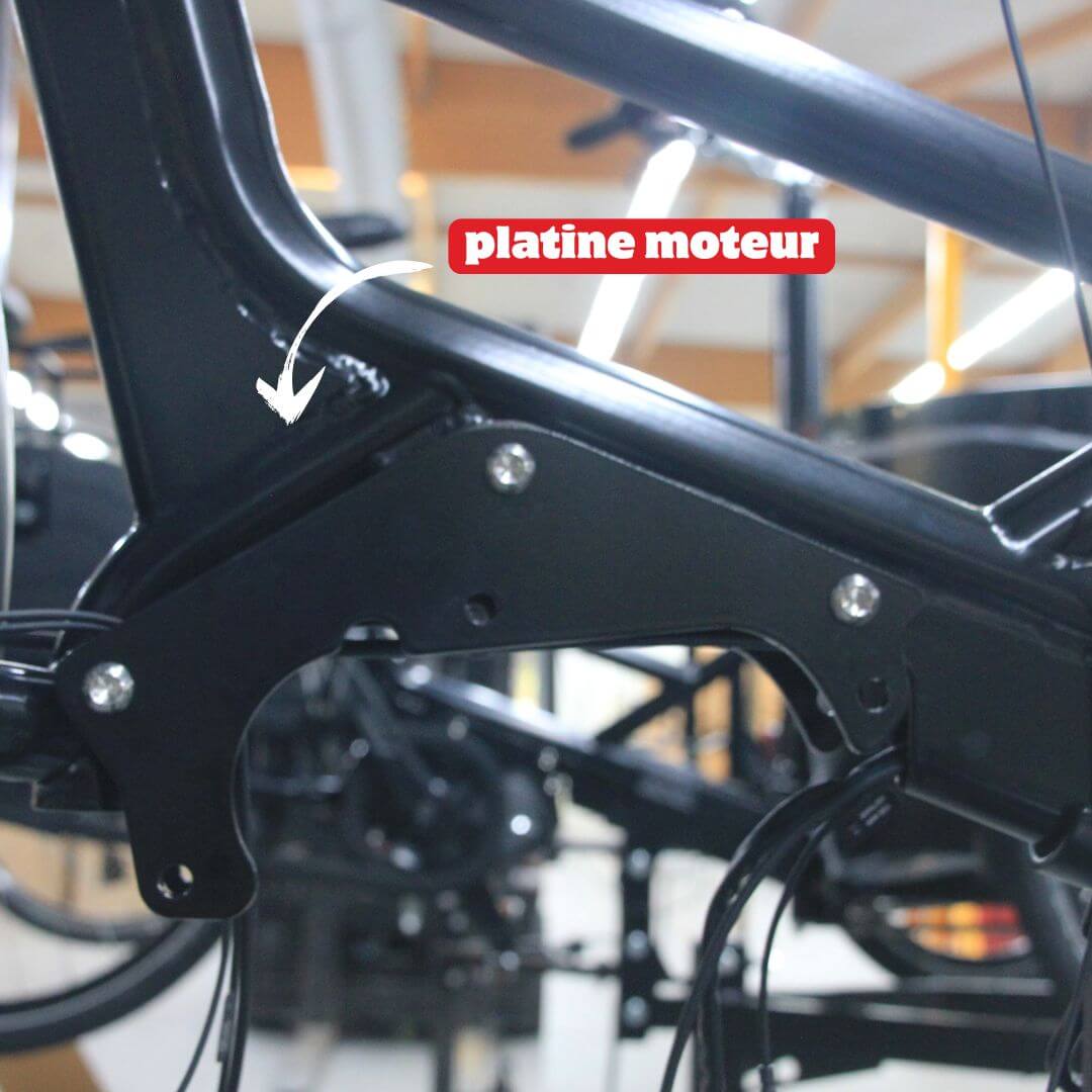 Platine Moteur Nihola 2025